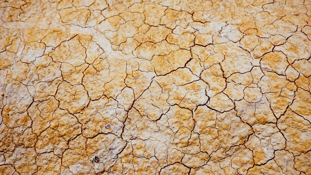 Dried sand