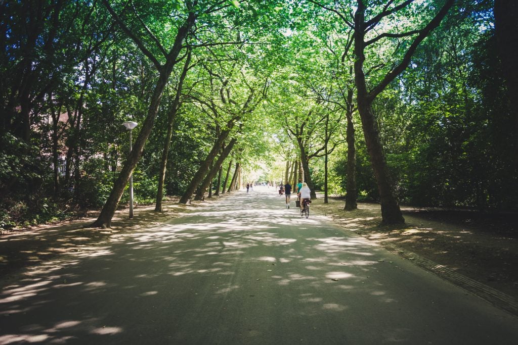 Walk in the park. Good for the eyes and for Liver Blood