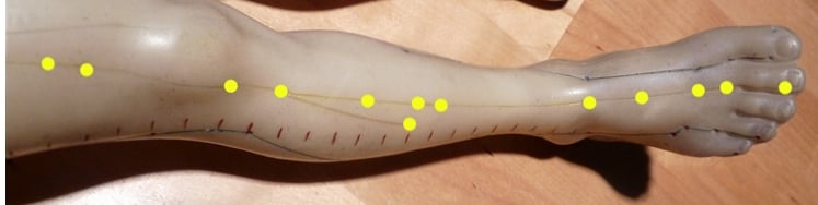 Stomach channel points mostly help build Blood for Liver Blood deficiency