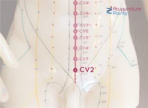 Conception Vessel 2 - Ren-2