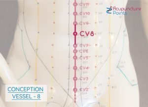 Conception Vessel 8 - Ren 8