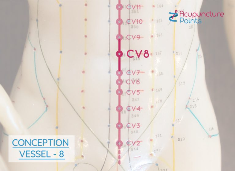 Conception Vessel 8 - Ren 8