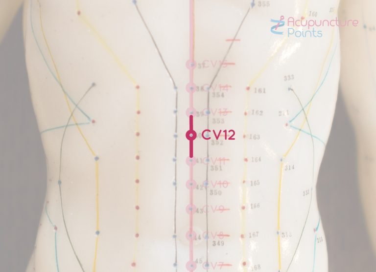 Conception Vessel 12 - Ren 12