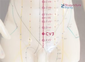 Conception Vessel 3 Point