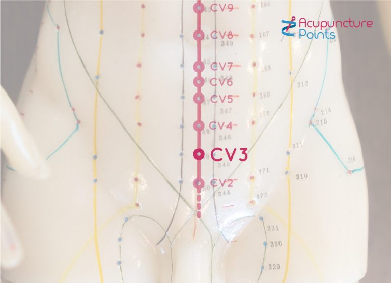 Conception Vessel 3 Point