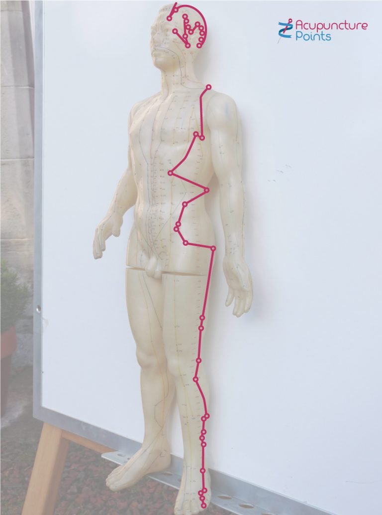 Gallbladder acupuncture Channel