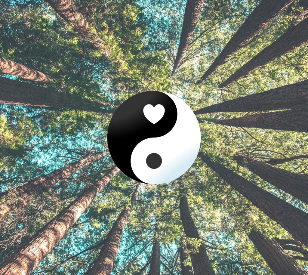 Heart Blood Yin Yang
