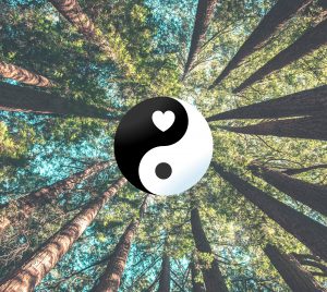 Heart Blood Yin Yang