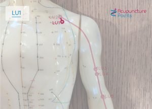 Lung -1 - Lung alarm point