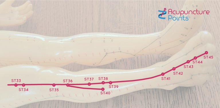 Leg Stomach Channel yuan-source points