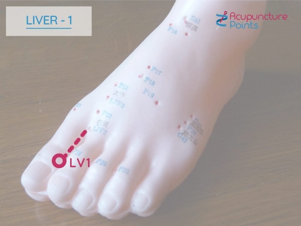 Liver 1 - Dadun