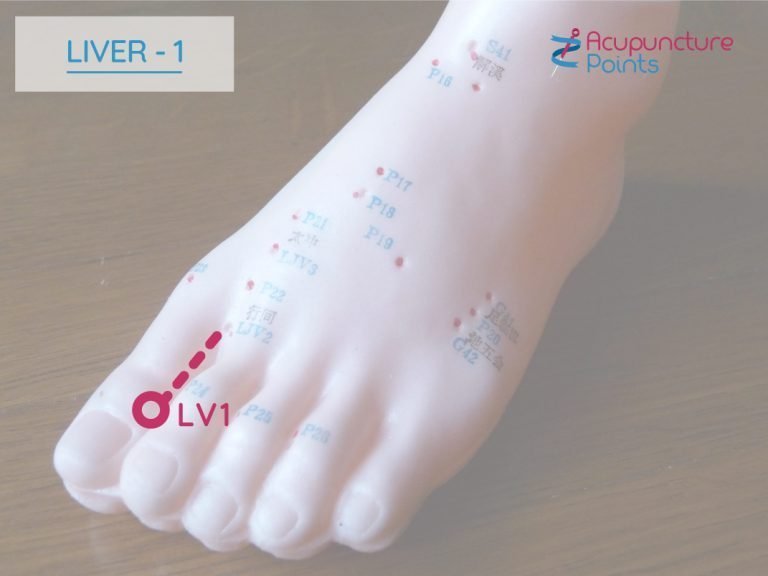 Liver 1 - Dadun