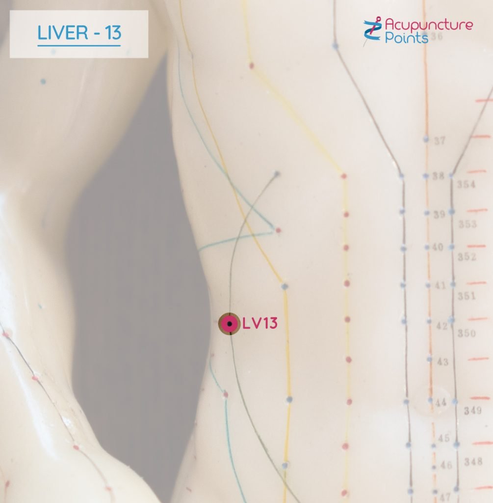 Liver 13