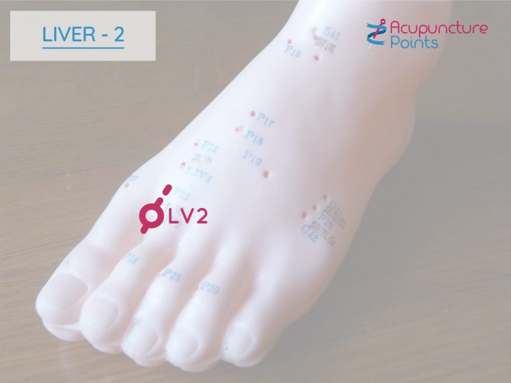 Liver 2 - Xingjian