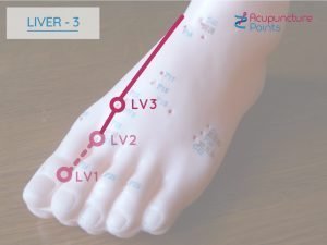Liver 3 - Taichong