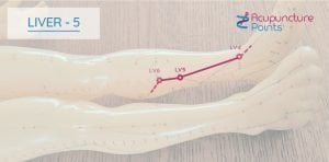 Liver 5 - Ligou