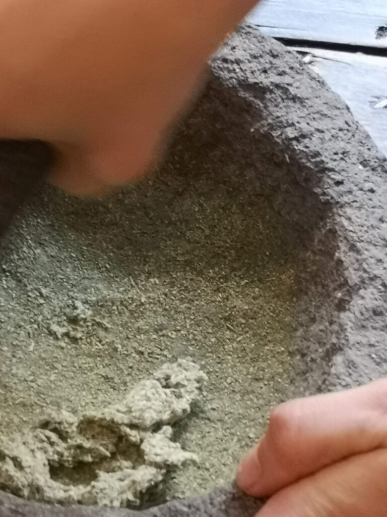 Grinding up wormwood for moxa punk