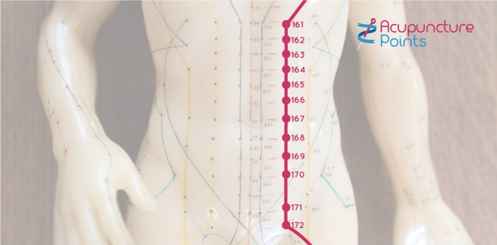 Stomach Channel Abdomen