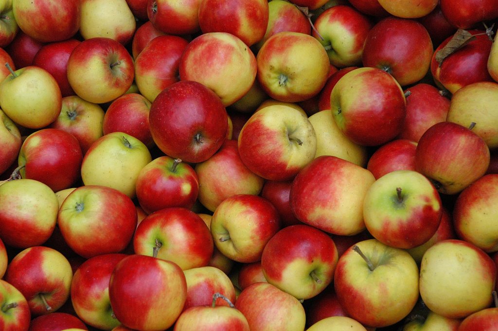 Apple cider vinegar helps some with gout