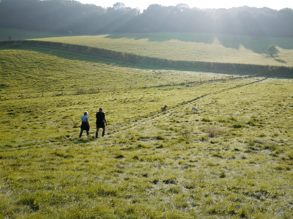Stroll on a green field in warmth - good for Stomach Cold and Deficient