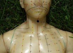 Ren 23