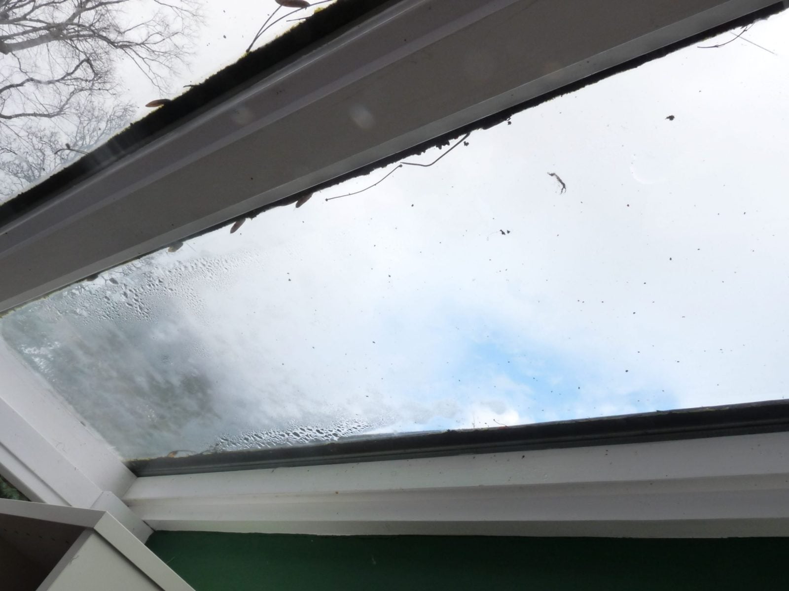 Damp skylight