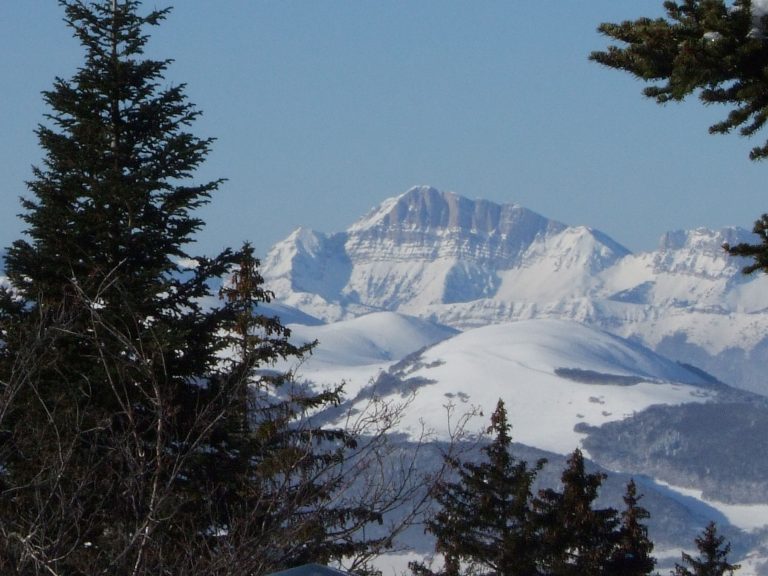 cold mountains - bad for large intestine luo channel symptoms