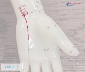 Heart 7 Point