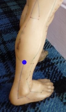bladder 58, feiyang