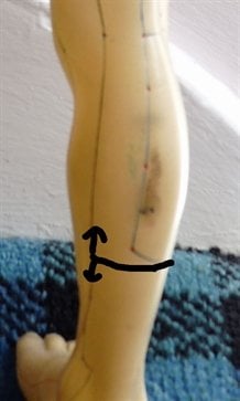 bladder luo