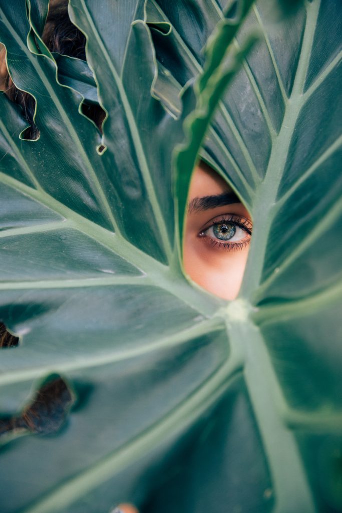 Healthy Liver Blood for Healthy Eyes
