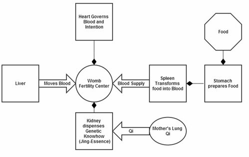 Fertility Center in Chinese Medicine