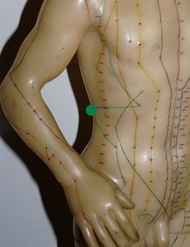 gallbladder 25
