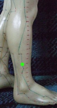 gallbladder 37