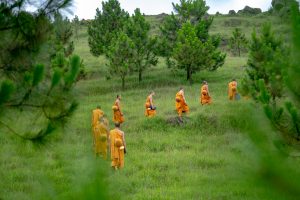 Walking meditation