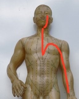 Heart luo channel pathway