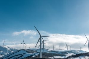 External Heat and Cold: Wind-Cold
