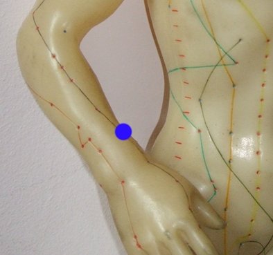 Large Intestine 6 - Pianli