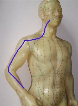 large intestine luo channel pathway