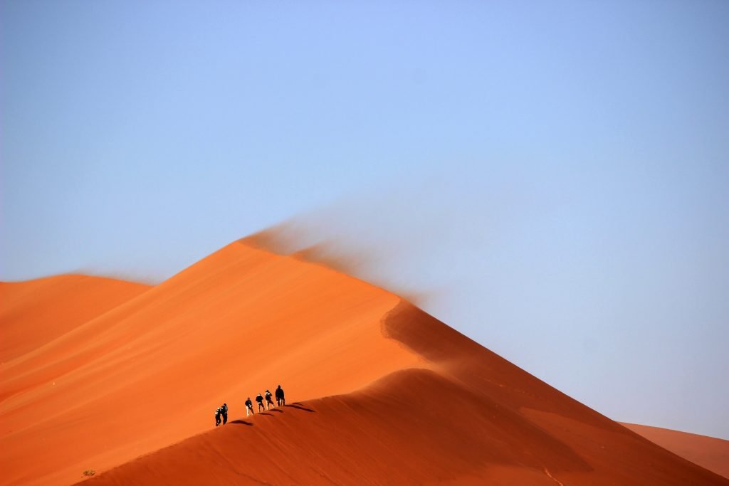 Wind and Heat - External causes of disease, producing yang excess and, often, inflammation