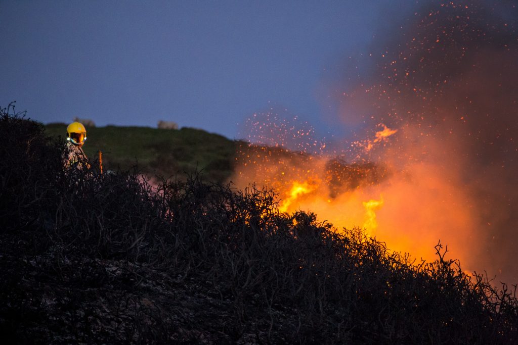Bush fire