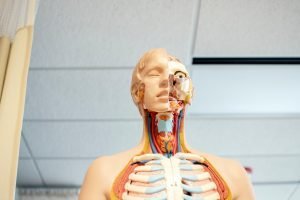 Chronic qi stagnation can affect the throat with a 'stuck' sensation.