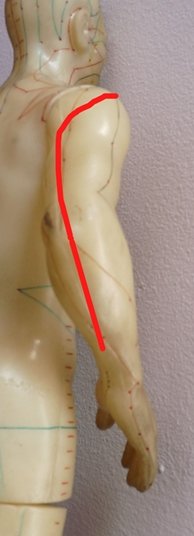 Small intestine luo channel