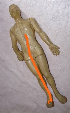 Spleen Luo-connecting pathway