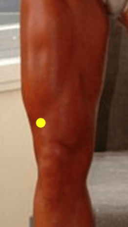 Stomach 34 - xi-cleft point on the Stomach channel