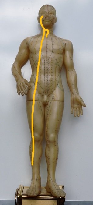 Stomach Luo-connecting channel pathway