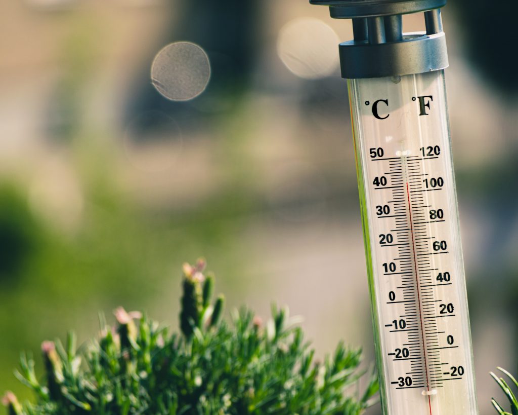Thermometer helps you cope with fever