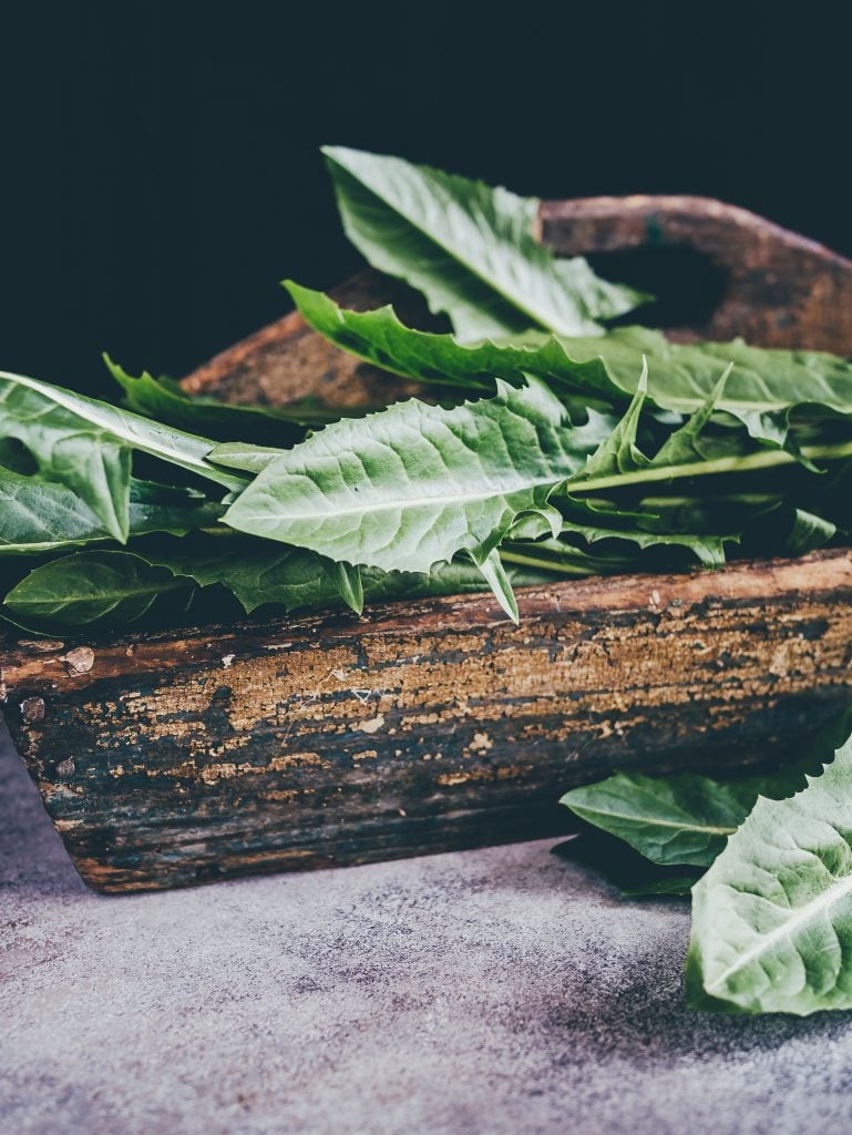 Dandelion greens - the bitter taste