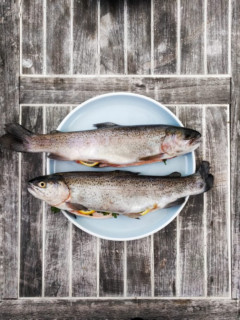 kidney yanng foods two silver fishes on round white ceramic plate
