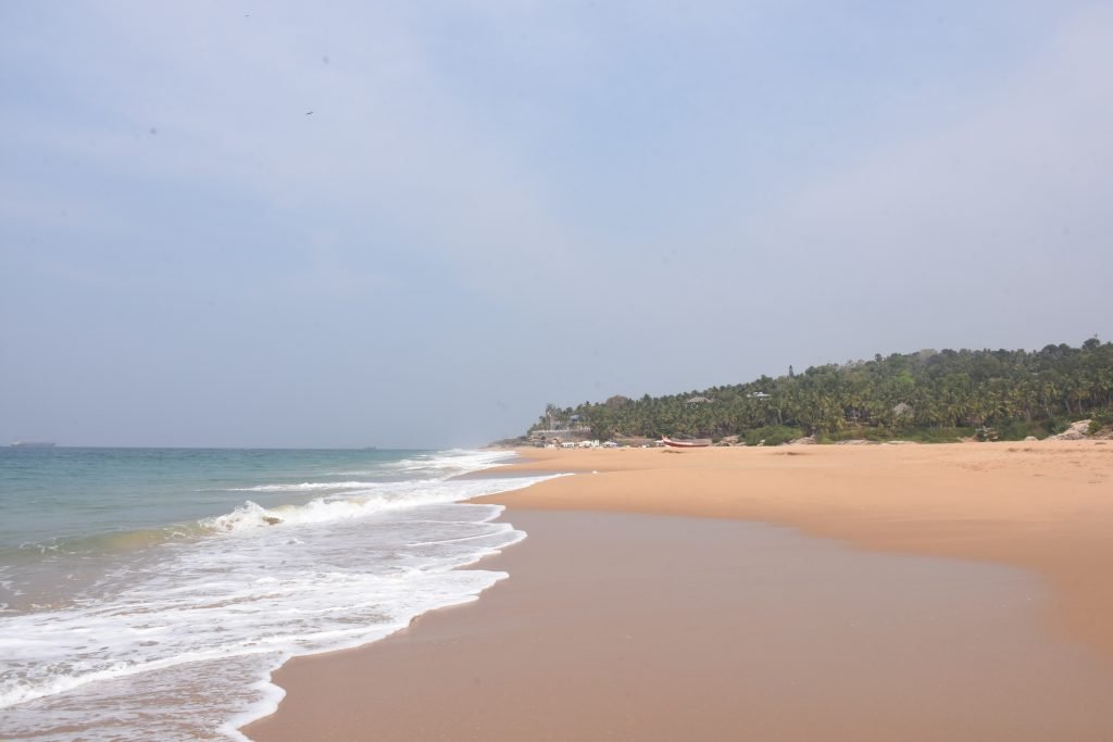 Tides symbolise the different phases of healthy liver function.